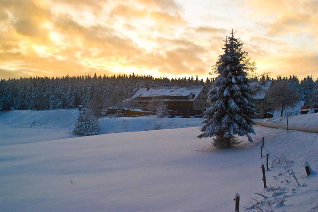 Hotel Zum Schneekopf "Garni" Gehlberg Esterno foto