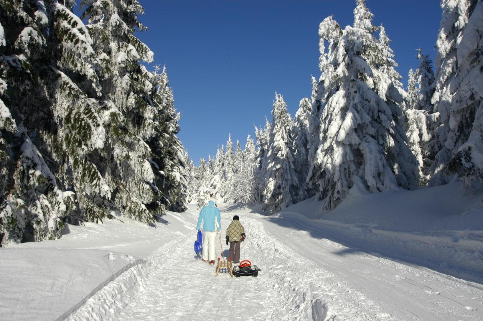 Hotel Zum Schneekopf "Garni" Gehlberg Esterno foto